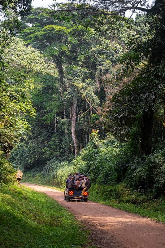 Overloaded car on a road through the jungle, Western region, Uganda