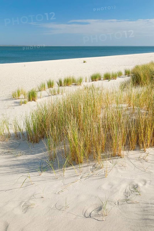 Sand dunes and an elbow beach on the coast of the German island of Sylt with a view of the island of RÃ¸mÃ¸ in Denmark