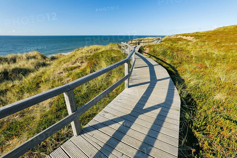 Wooden trail near Kampen along the coast of the island of Sylt, Germany