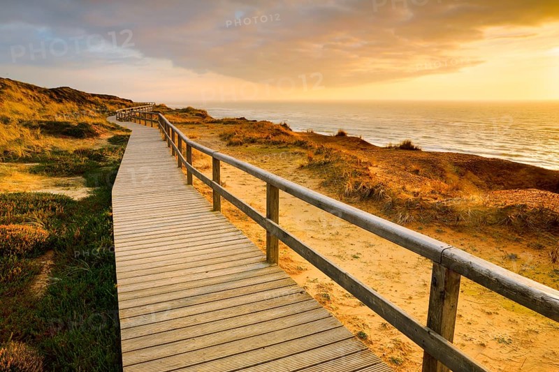 Wooden trail near Kampen along Red Cliff Cliff on the island of Sylt, Germany
