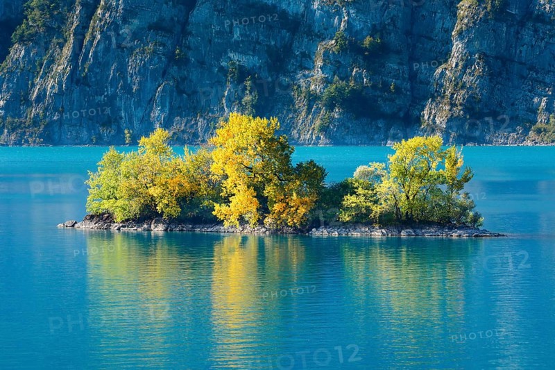Small chive island in the turquoise water of Lake Walen, Canton of St. Gallen, Switzerland