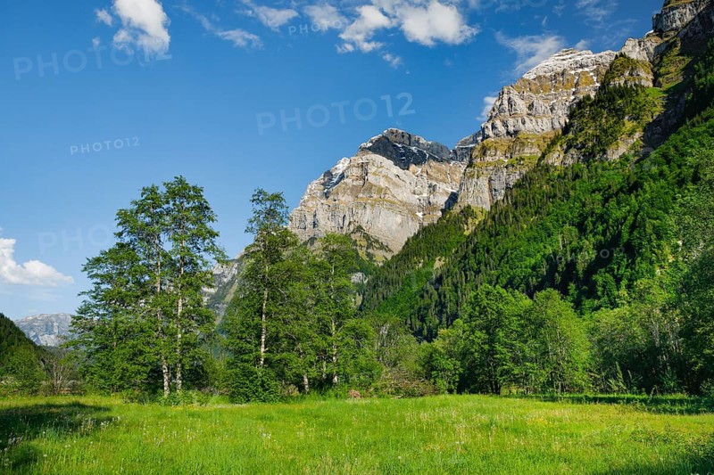 GlÃ¤rnisch with Ruchen and Gross Feuerberg, Klöntal, Canton of Glarus, Switzerland