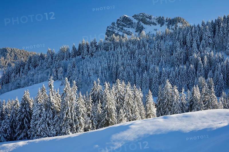 View of Sattelegg with Chli Aubrig in the background, Canton of Schwyz, Switzerland