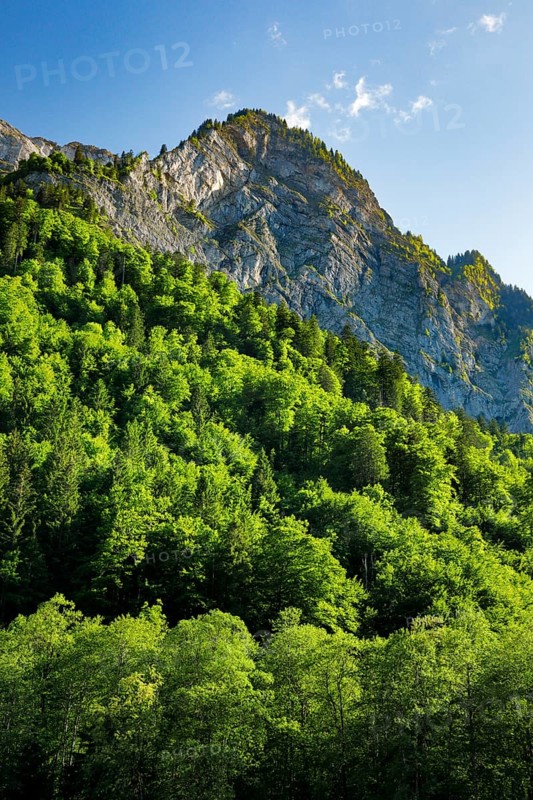 NebelkÃ¤ppler, Klöntal, Canton of Glarus, Switzerland