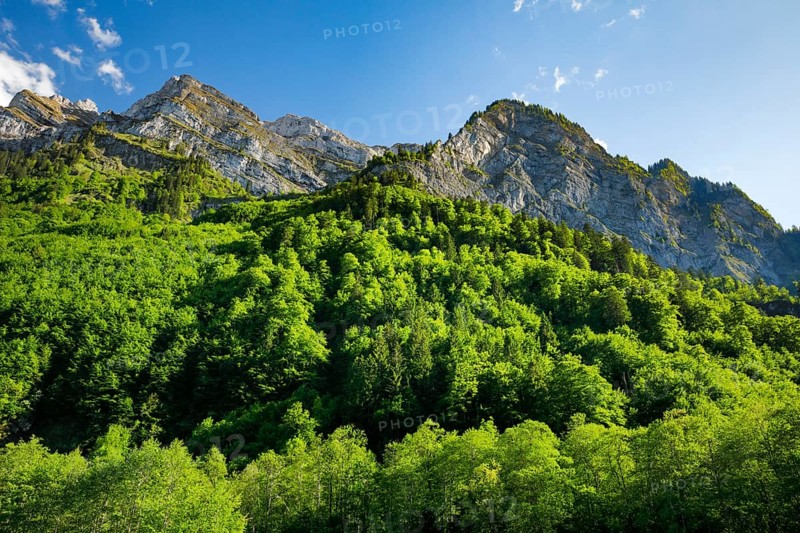 Klein Feuerberg, NebelkÃ¤ppler and Milchplankenstock, Klöntal, Canton of Glarus, Switzerland