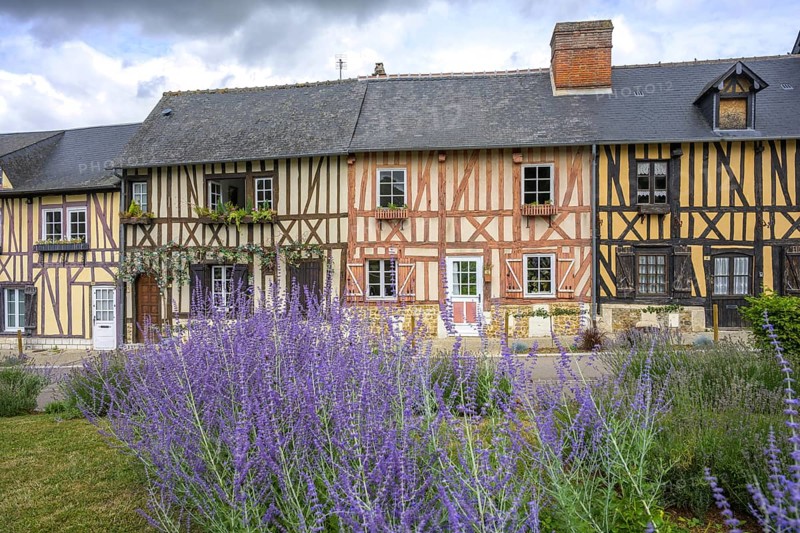 Lavender and timbered houses, Le Bec-Hellouin, Eure, France