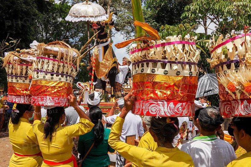 The mortal remains of a deceased person are placed in an animal sarcophagus (wadha) during the ngaben ceremony and then cremated. Wadah, the vehicle, the sacred magnificent animal, is the vehicle used to transport the soul of the deceased to the spirit realm, Ngaben ceremony, Gianyar, Ubud, Bali, Indonesia