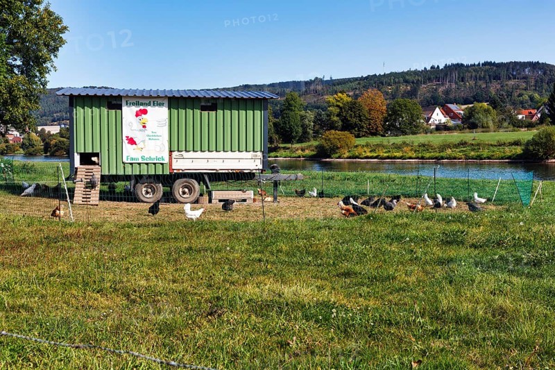 Mobile chicken coop, chicken mobile, free-range chickens, free-range eggs, Weserufer, Verhagen, Hesse, Germany