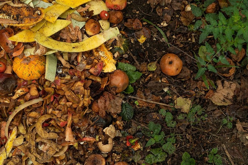 Compost pile made of organic food, leaves, vegetable and fruit Waste mix, Zero waste and Eco friendly Recycling concept