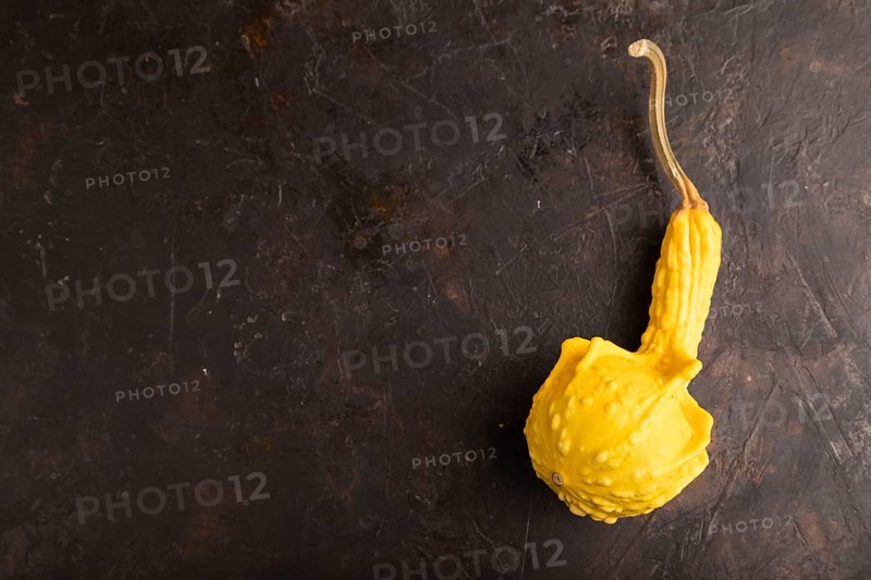Decorative orange Pumpkin on black concrete background, top view, flat lay, copy space, minimalism
