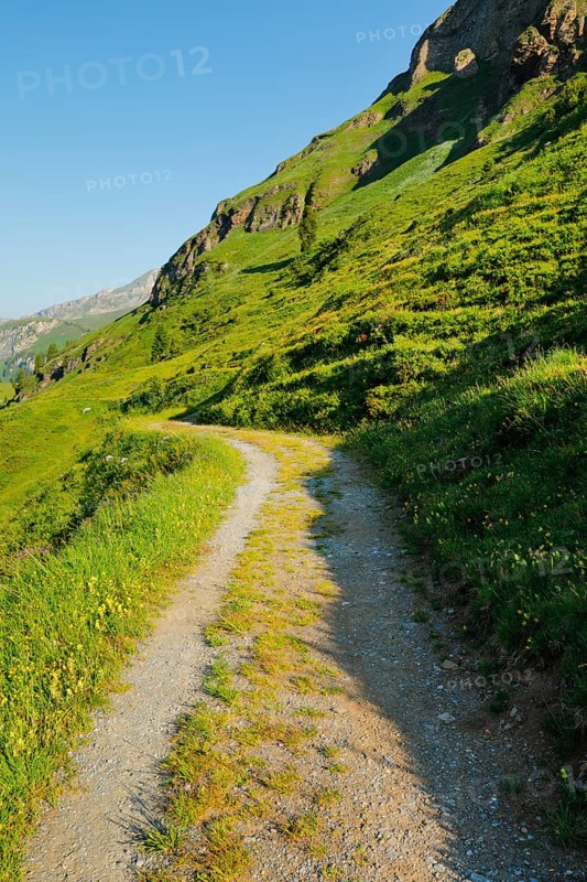 Wanderweg, Engstlenalp, Canton of Bern, Switzerland
