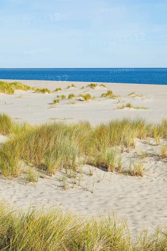 Sand dunes and sandy beach at Ellenbogen on the island of Sylt, Germany