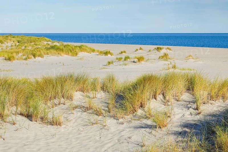 Sand dunes and an elbow beach on the island of Sylt, Germany