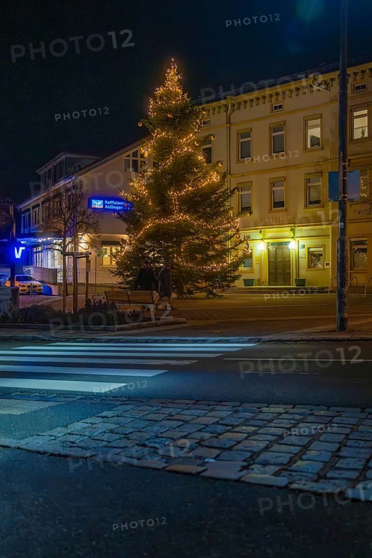 An illuminated tree in front of a building at night, street in the foreground, Aidlingen, Böblingen district, Germany