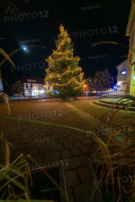 A Christmas tree with lights and a visible moon at night, Aidlingen, Böblingen district, Germany