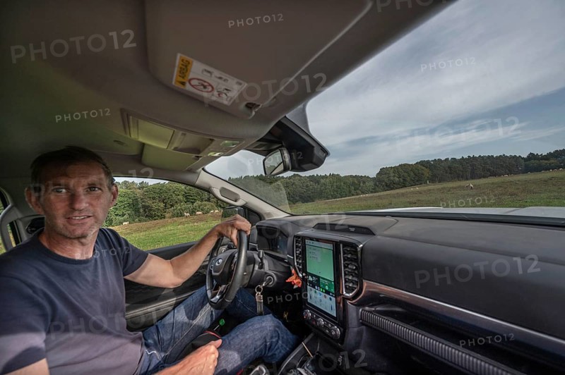 Young shepherd in car checks his flocks of sheep in nature reserves, Othenstorf, Mecklenburg-Western Pomerania, Germany