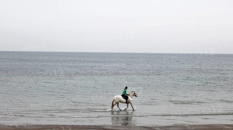 A female rider riding on a mold through the shallow water of the Baltic Sea, Scharbeutz, 27.11.2025, Scharbeutz, Schleswig-Holstein, Germany