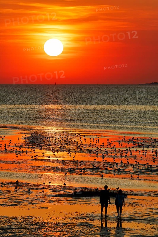 Orange sunset over the North Sea, flock of birds, two walkers, silhouette, coastline, Duhnen, Cuxhaven, Lower Saxony, Germany