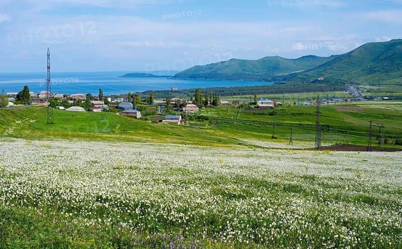 Wide view of flower fields and hills with a distant lake and village, view of Tsovagiugh and Lake Sevan, Tsovagyugh, Sevan, Gegharkunik Province, Armenia