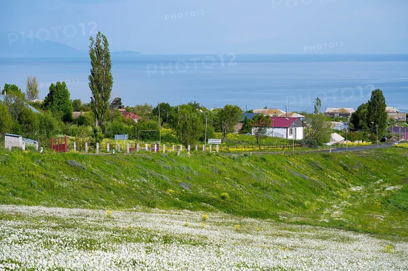 Panoramic view of blooming meadows, trees and sea horizon with village, view of Tsovagiugh and Lake Sevan, Tsovagyugh, Sevan, Gegharkunik Province, Armenia