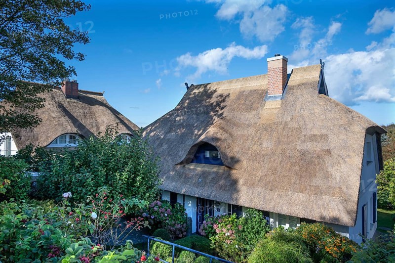 Private thatched houses, Ahrenshoop, DarÃŸ, Mecklenburg-Western Pomerania, Germany
