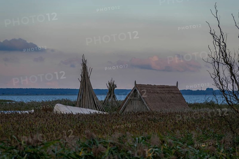 Fishing hut in reeds (Phragmites australis) on the banks of the lagoon, Ahrenshoop, DarÃŸ, Mecklenburg-Western Pomerania, Germany