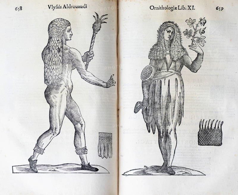 Woodcut, Regina insulae floridae, Queen of the Islands of Flowers, woman with flower in her hand and basket under her arm, from: Ulysses Aldrovandi (1522-1603), Ornithologiae hoc est de avibus Historiae Libri XII, Bologna, 1599