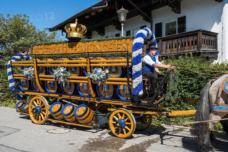 Carriage with brewery barrels, HofbrÃ¤u Munich, horse team, parade at Tegernsee, Rosstag, Rottach-Egern, Upper Bavaria, Bavaria, Germany