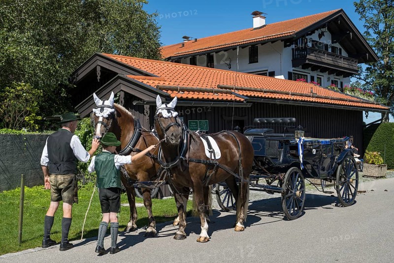 Decorated horses with carriage, team, parade at Tegernsee, Rosstag, Rottach-Egern, Upper Bavaria, Bavaria, Germany