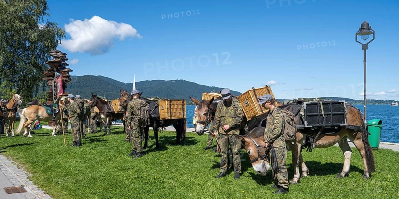 Bundeswehr soldiers with horses, mountain carrier company, soldiers in camouflage uniform, set up for the parade at Tegernsee, Rosstag, Rottach-Egern, Upper Bavaria, Bavaria, Germany
