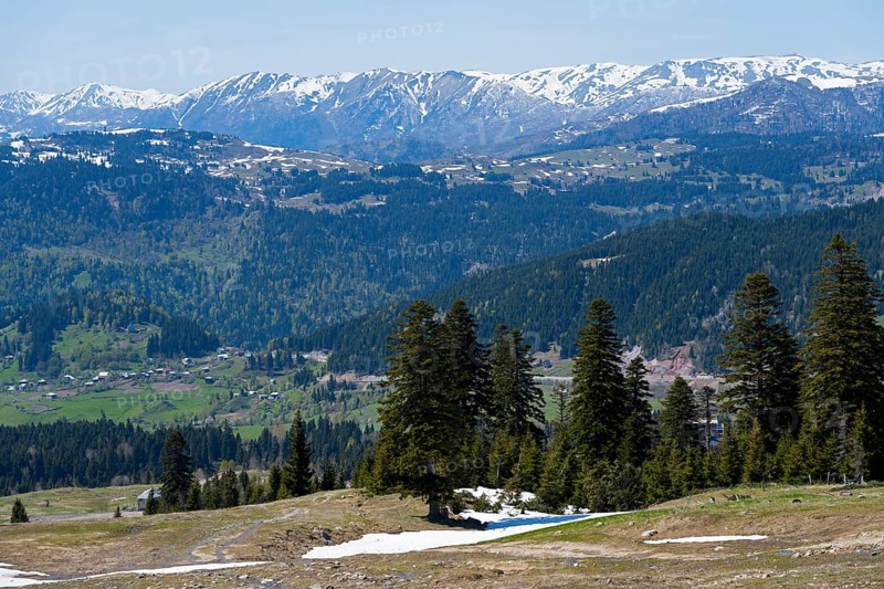 Panorama of snow-capped mountains and green forests under clear sky, view from Goderdzi Pass, Adjara region, Adjara, autonomous republic, Georgia