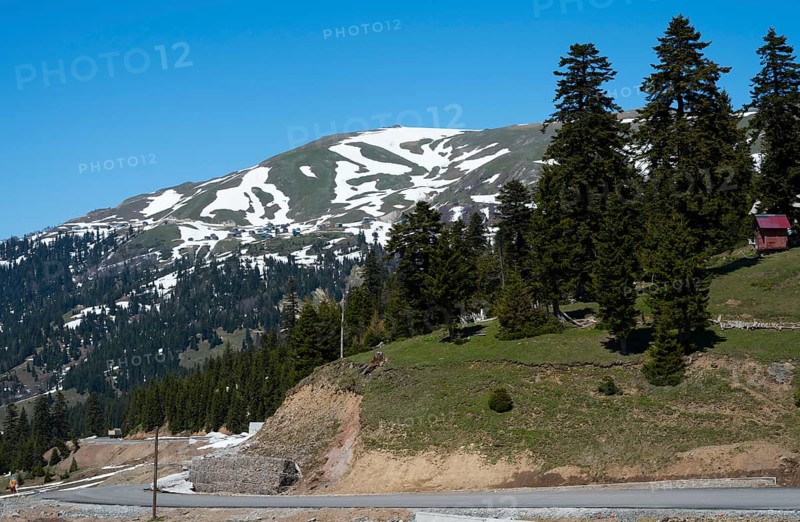 Snowy mountain with trees and a road under clear blue sky, just in front of the Goderdzi Pass, Ajara region, Adjara, autonomous republic, Georgia