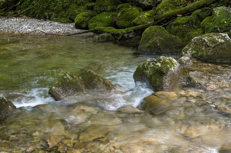 Rottach river, mountain river in the forest, Rottach-Egern, Mangfall Mountains, Upper Bavaria, Bavaria, Germany