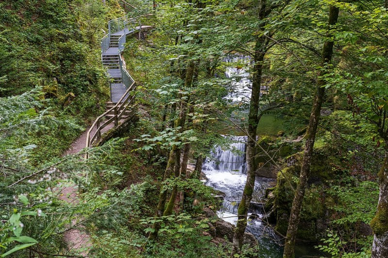 Weg am Rottach Wasserfall, Wald, Rottach-Egern, Mangfall Mountains, Upper Bavaria, Bavaria, Germany