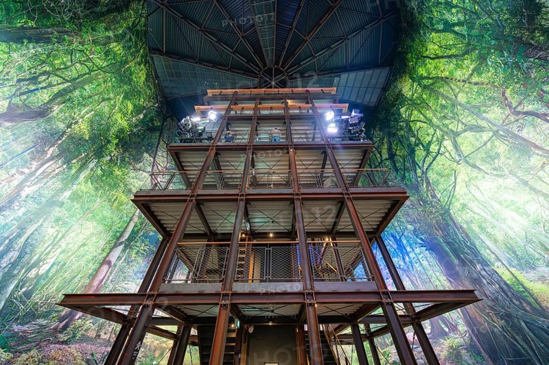Massive wooden building in an interior with impressive forest landscape on the walls, Amazonia exhibition, Gasometer, Pforzheim, Germany