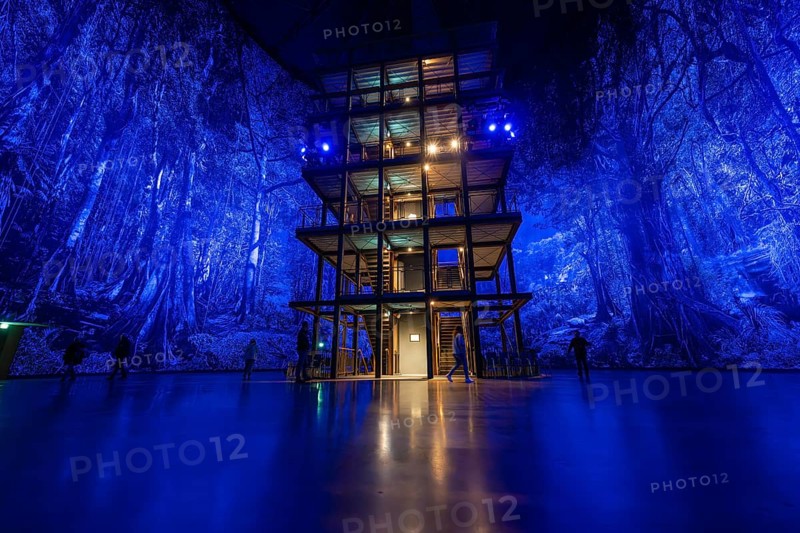 A large wooden structure in a blue-lit artificial forest backdrop, Amazonia exhibition, Gasometer, Pforzheim, Germany