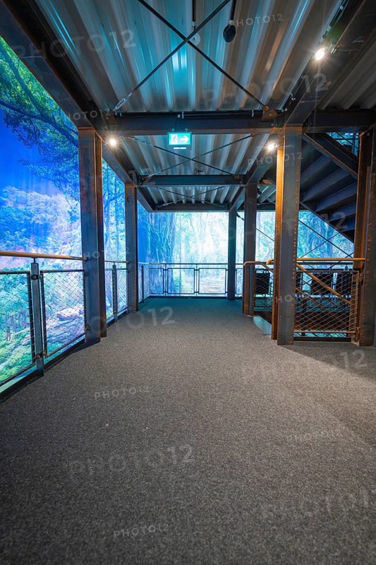 A corridor in an artificial forest setting with stairs and blue lighting, Amazonia exhibition, Gasometer, Pforzheim, Germany
