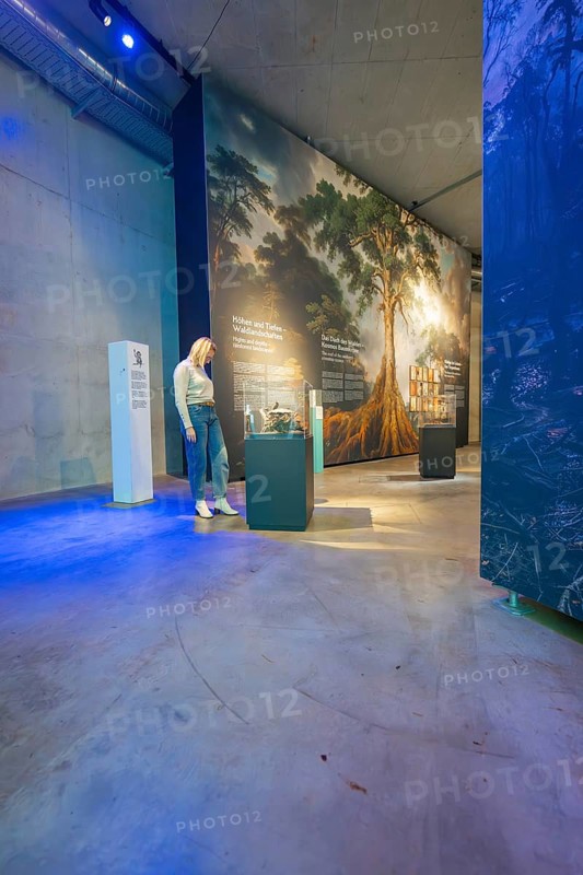 Woman looking at a large painting of a tree in a museum with blue lighting, Amazonia exhibition, Gasometer, Pforzheim, Germany