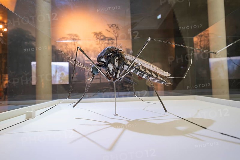Large sculpture of an insect presented in an exhibition room, Amazonia exhibition, Gasometer, Pforzheim, Germany