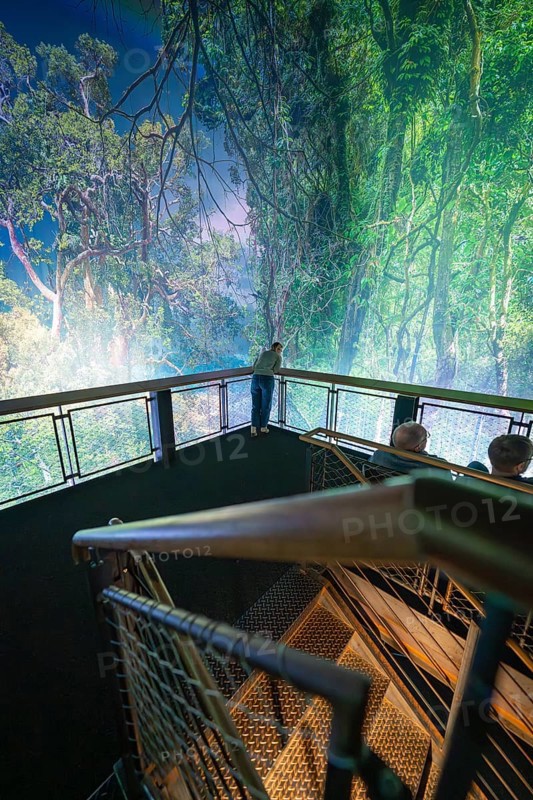 A person on a viewing platform in an artificial jungle with a green natural backdrop, Amazonia exhibition, Gasometer, Pforzheim, Germany