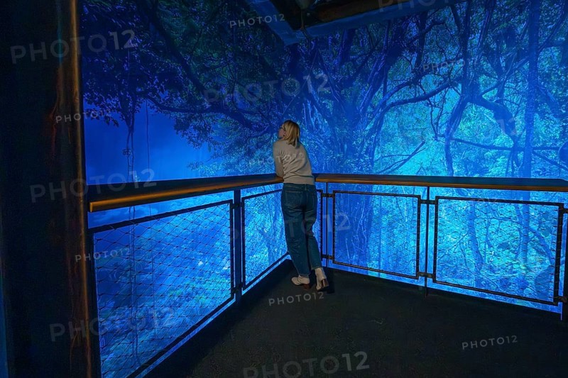 Woman enjoying the view of a magical blue-lit forest scene from the balcony, Amazonia exhibition, Gasometer, Pforzheim, Germany