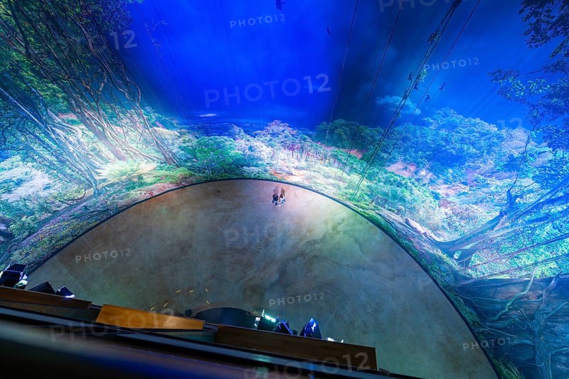 Spectacular interior view of a circular forest projection, Amazonia exhibition, Gasometer, Pforzheim, Germany