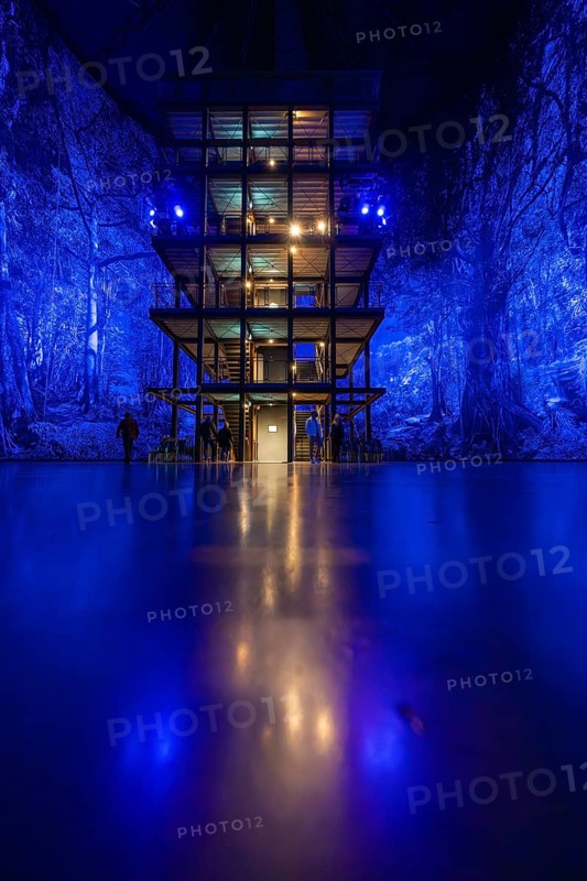 Illuminated structure in front of an intense blue forest projection in an interior, Amazonia exhibition, Gasometer, Pforzheim, Germany