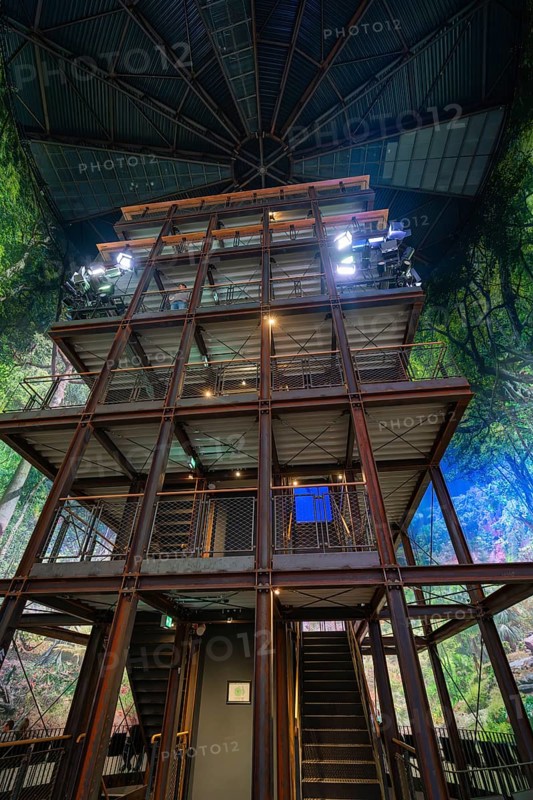 Wooden building interior with metal framework and lighting, surrounded by a forest motif, Amazonia exhibition, Gasometer, Pforzheim, Germany