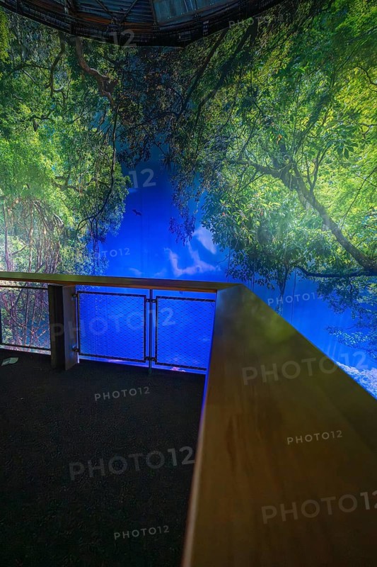 Inspiring indoor projection of a picturesque forest panorama, Amazonia exhibition, Gasometer, Pforzheim, Germany