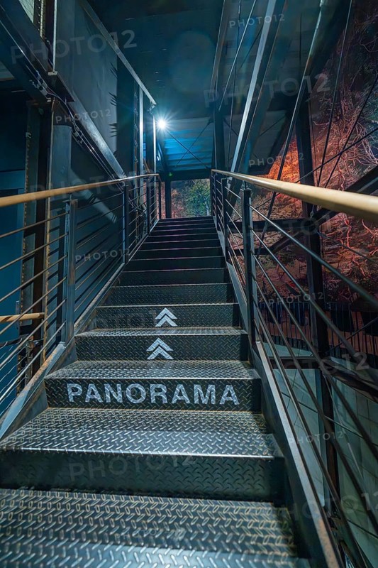 Metal staircase with the inscription 'PANORAMA' leading up to a blue light zone, Amazonia exhibition, Gasometer, Pforzheim, Germany