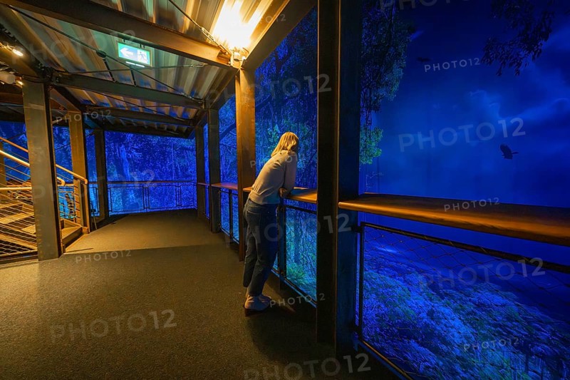 Woman leaning on a balcony looking at a blue-lit forest projection, Amazonia exhibition, Gasometer, Pforzheim, Germany