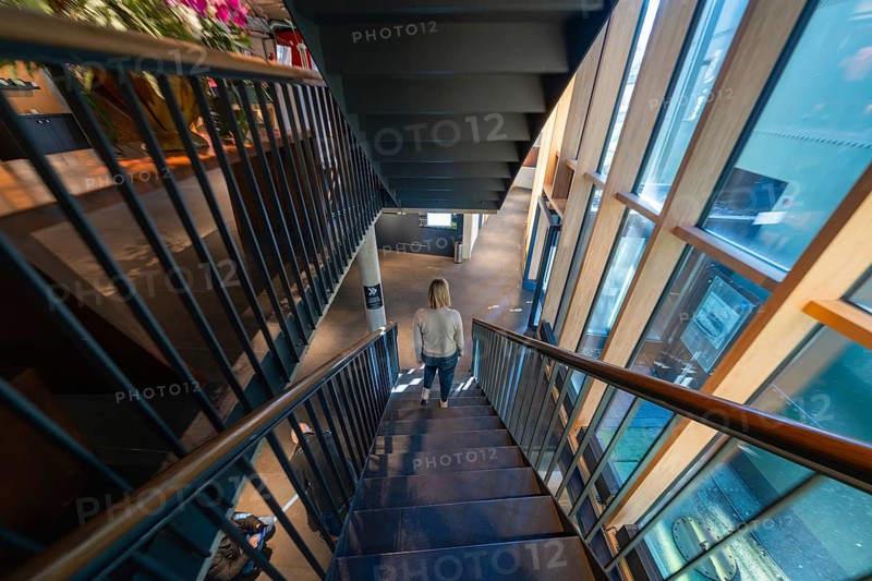 Woman descending a modern staircase in a building surrounded by large windows, Amazonia exhibition, Gasometer, Pforzheim, Germany