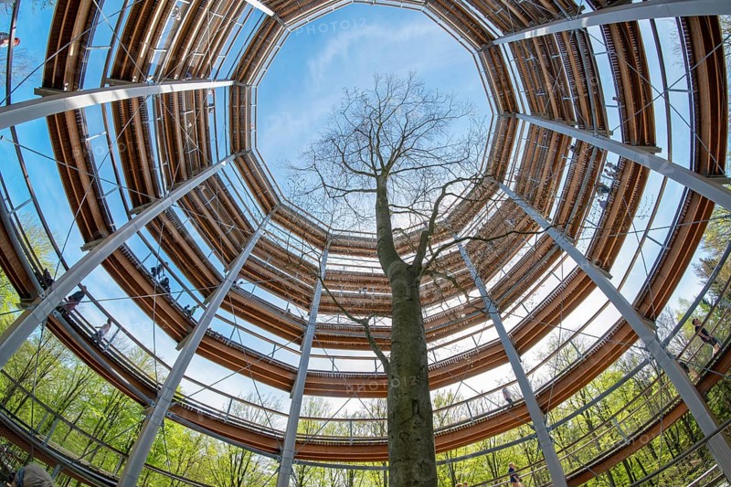 Steigerwald Baupfad Ebrach Germany