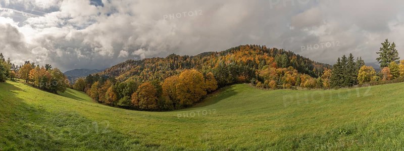 Vast green field features trees with gold and red leaves. The grey sky brings drama to this tranquil autumn mountain scene, with rolling hills in the background. Bas Rhin, Alsace, France
